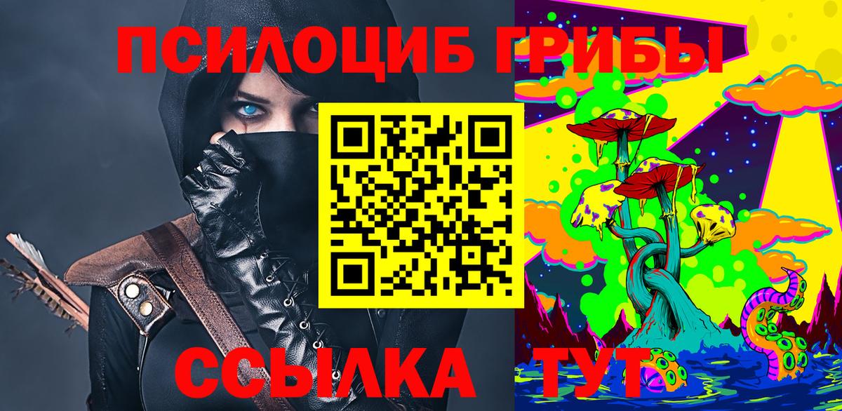 Псков  Галлюциногенные грибы Psilocybe  Вход с VPN  Галлюциногенные грибы прущие грибы 