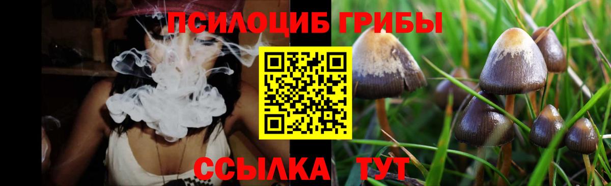 Псилоцибиновые грибы прущие грибы Псков